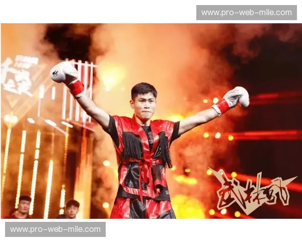 综合格斗进攻数据：从数字看拳台胜负之道